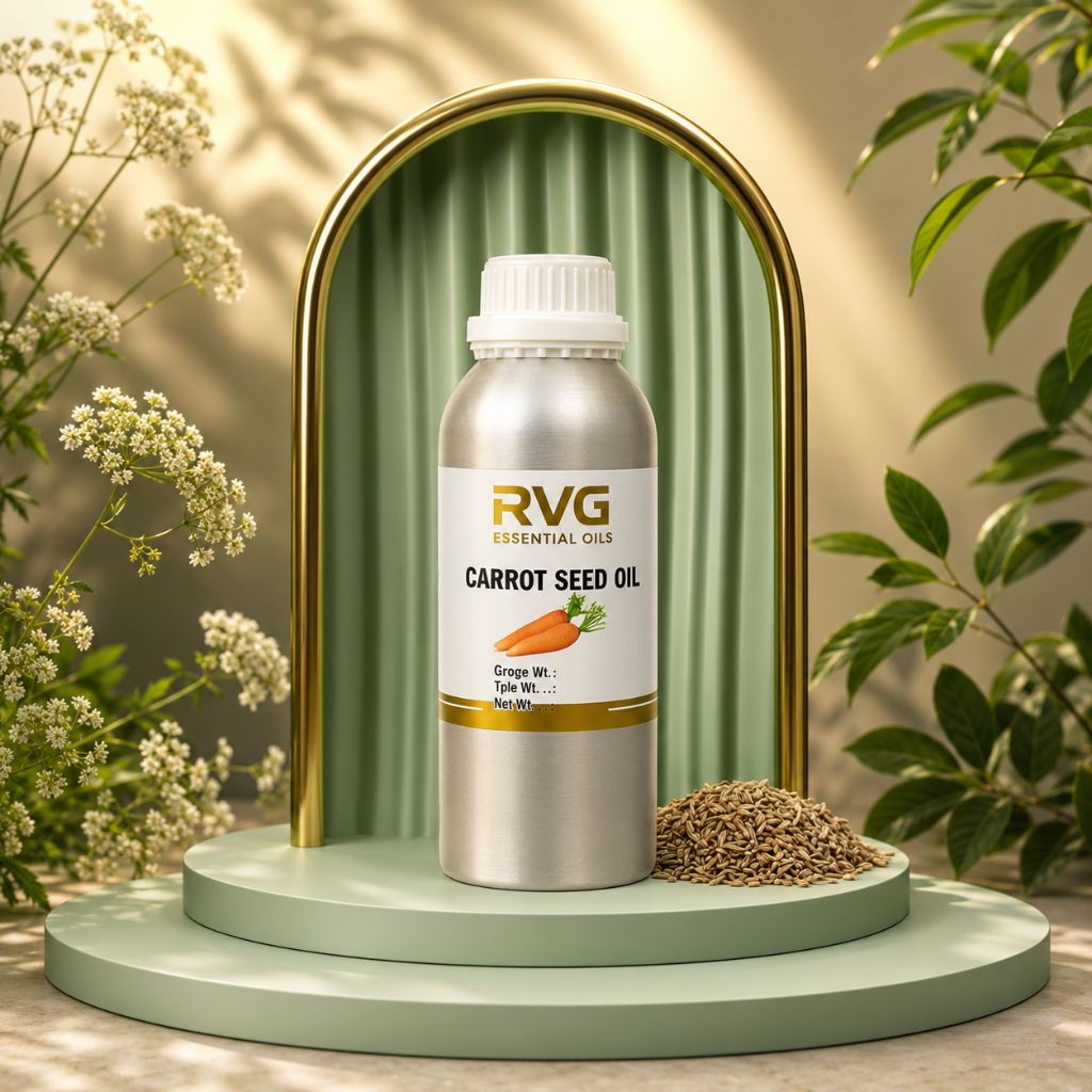 Carrot Seed CN Oil Manufacturer