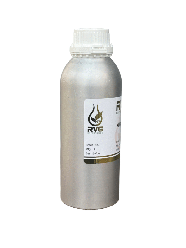 RVG Khus Oil - Image 2