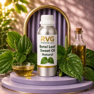 Betel Leaf Sweet Oil Natural