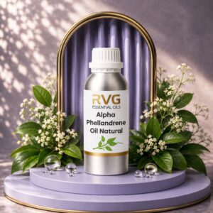 Alpha Phellandrene Oil Natural
