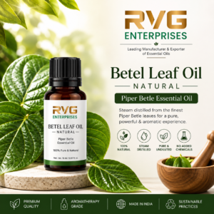 Betel leaf oil natural