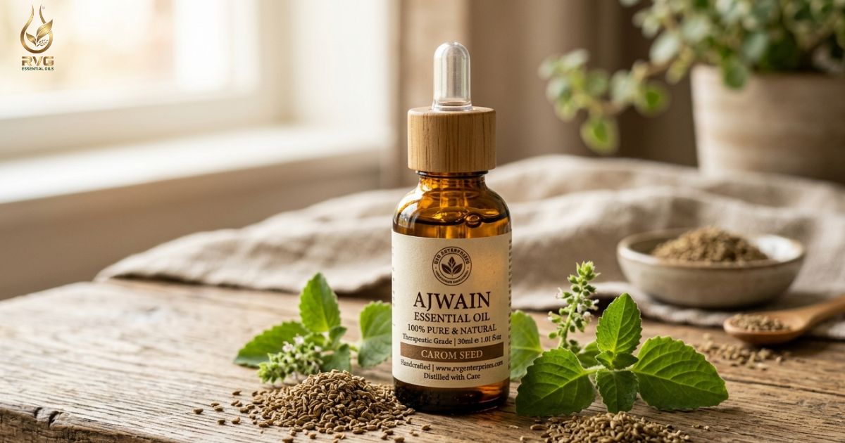 Ajwain oil