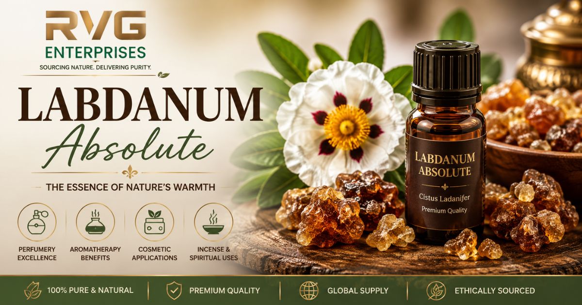 Labdanum absolute