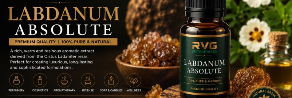 Labdanum absolute